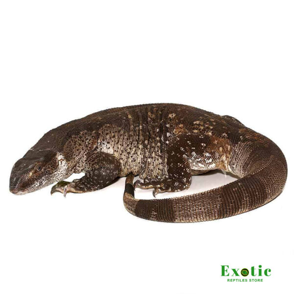 Adult White Throat Monitor for sale